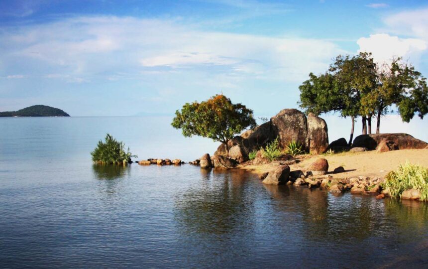 Egypt, Uganda prepare next phase of Great Lakes weed project as Cairo highlights $100m Nile Basin fund