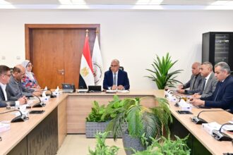 Egypt reviews irrigation, drainage infrastructure requests in Qena, Giza