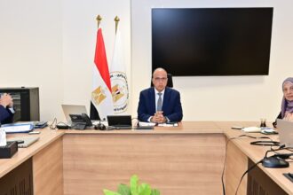 Irrigation ministry set to begin trial operation of digital twin for Ismailia Canal