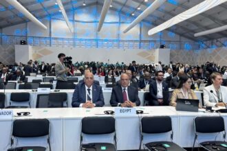 Egypt showcases water scarcity experience at UN desertification conference in Mongolia