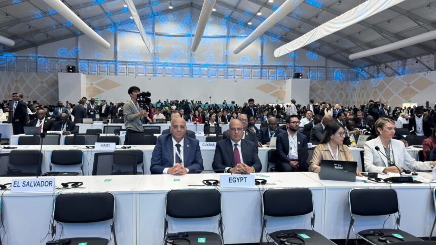 Egypt showcases water scarcity experience at UN desertification conference in Mongolia