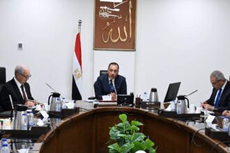Egypt aims to restore global cotton standing, eyes private sector role in state textile firm revamp