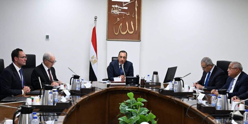 Egypt aims to restore global cotton standing, eyes private sector role in state textile firm revamp