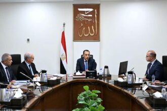 Egypt weighs transferring ownership of state holding companies to cut public debt