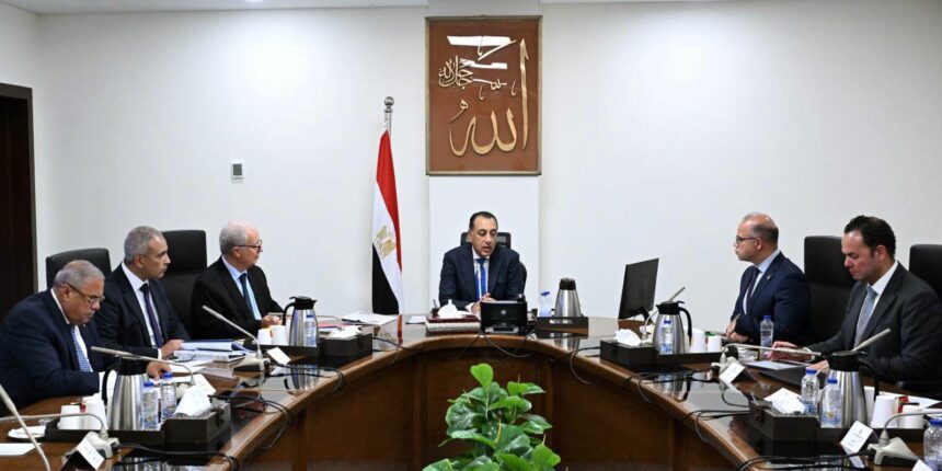 Egypt weighs transferring ownership of state holding companies to cut public debt