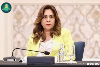 Manal Awad, Local Development and Environment Minister