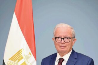 Egypt's Deputy Prime Minister for Economic Affairs Hussein Issa