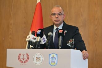Mohamed Farid, Minister of Investment and Foreign Trade