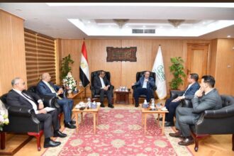 MSMEDA provides EGP 3.2bn in financing in Fayoum over 12 years: CEO
