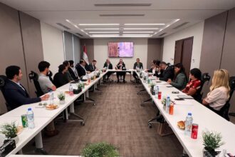 Planning minister meets Egyptian startups in UAE to address expansion challenges