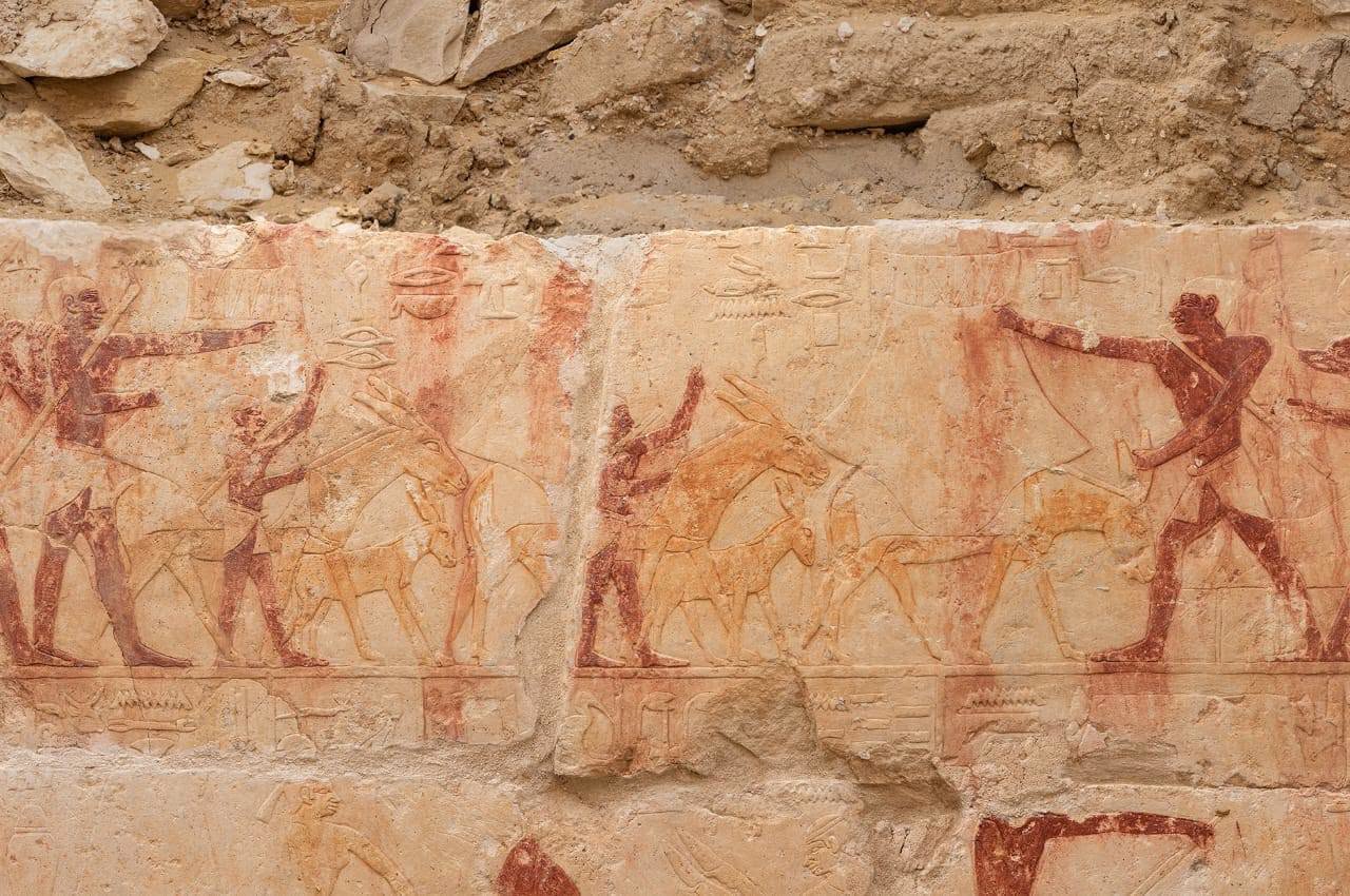 Spanish-Egyptian mission unearths late Fifth Dynasty tomb of a judge in Saqqara