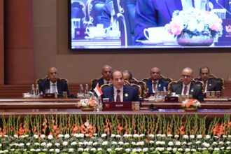 Al-Sisi calls for expanded concessional BRICS financing, says Egypt seeks presidency