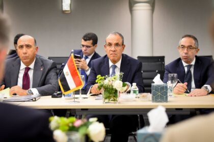 Egypt’s FM calls for diplomacy on Iran, discusses regional crises with UK security adviser