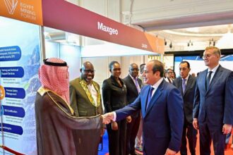 Egypt targets 6% mining contribution to GDP as 119 companies submit 403 offers