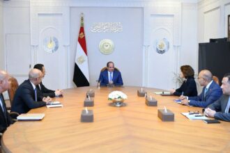 Al-Sisi urges Orange to join second phase of digital health project