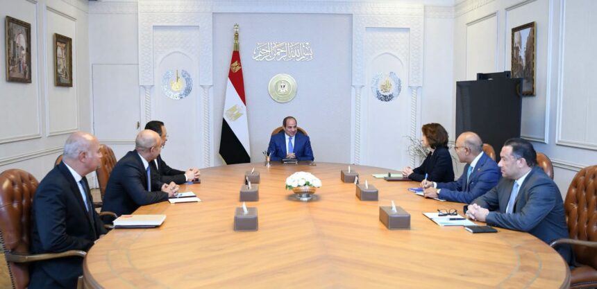 Al-Sisi urges Orange to join second phase of digital health project
