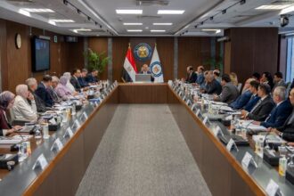 Egypt to add 330 million cubic feet/day to gas production before year-end