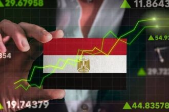 Egypt to launch World Bank-partnered FDI strategy targeting 16 priority sectors