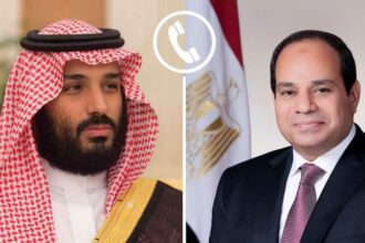 Egypt, Saudi Arabia urge regional de-escalation to protect energy security and trade