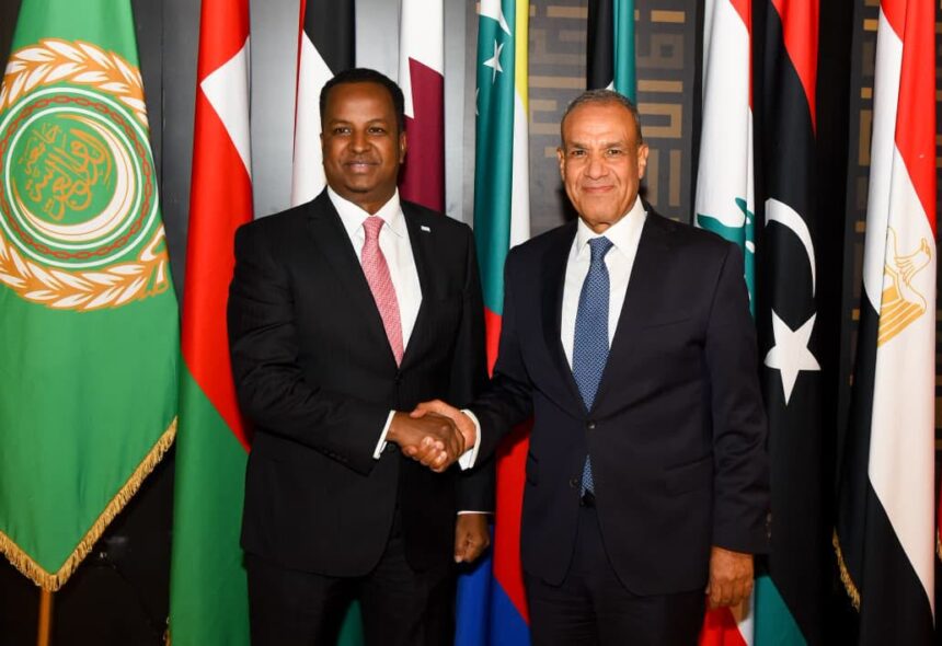 Egyptian foreign minister praises ties with Somalia, warns against violating its sovereignty