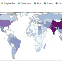 Irrigation water delivers ‘hidden fertiliser’ to world’s croplands: Study