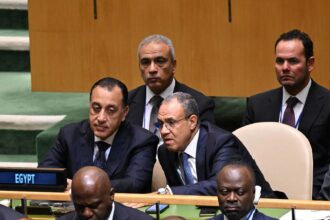 Egypt's Madbouly calls for reorienting international financial system towards Global South