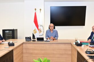 Egypt advances coastal protection projects to address climate risks along northern shoreline
