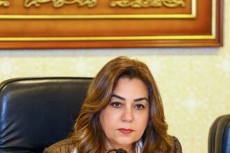 Manal Awad, Minister of Local Development and Environment