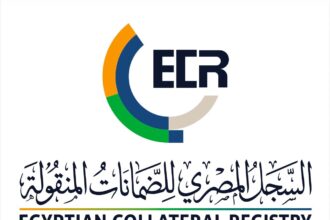 FRA explores developing Egyptian Movable Collateral Registry services