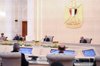 Al-Sisi: Egypt committed to diplomacy on Ethiopian dam, but water security is non-negotiable