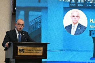 Mohamed Farid, Minister of Investment and Foreign Trade