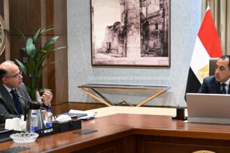 Egypt unveils foreign direct investment strategy for 2027-2030