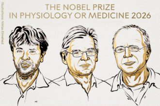 Deisseroth, Hegemann and Nagel win 2026 Nobel Medicine Prize for optogenetics