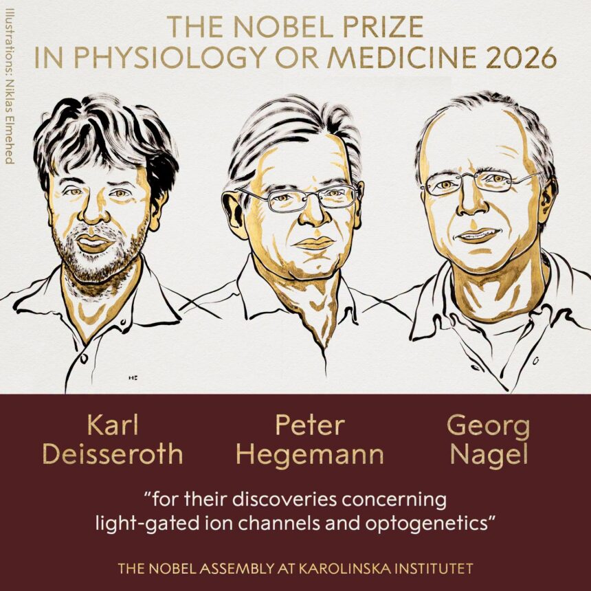 Deisseroth, Hegemann and Nagel win 2026 Nobel Medicine Prize for optogenetics