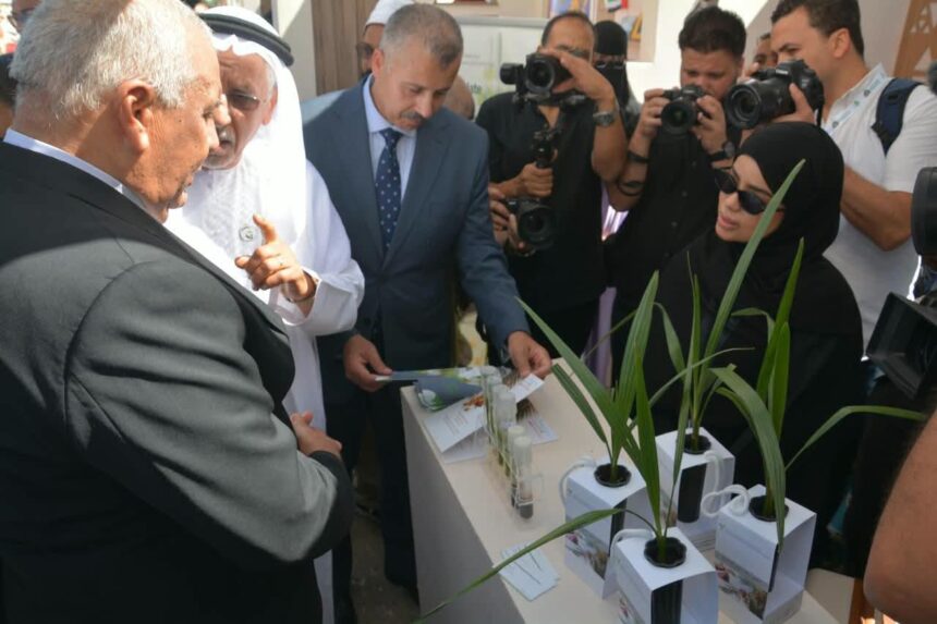 Egypt outlines date sector strategy and 20% global production share at 9th International Egyptian Dates Festival