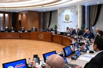 Egypt’s cabinet approves 652-acre Salloum logistics zone and new Sadat dry port company