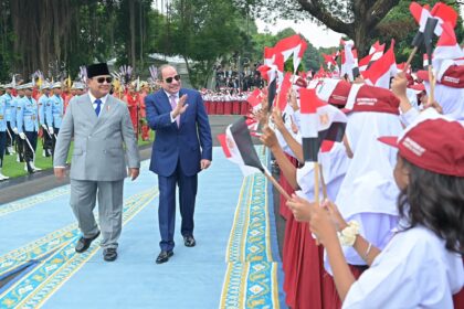 Egypt, Indonesia target $5bn in bilateral trade by 2030