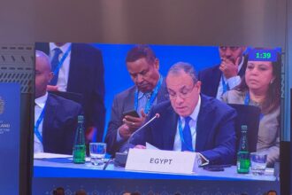 Egypt's FM discusses food security, financing and regional cooperation in Bangkok