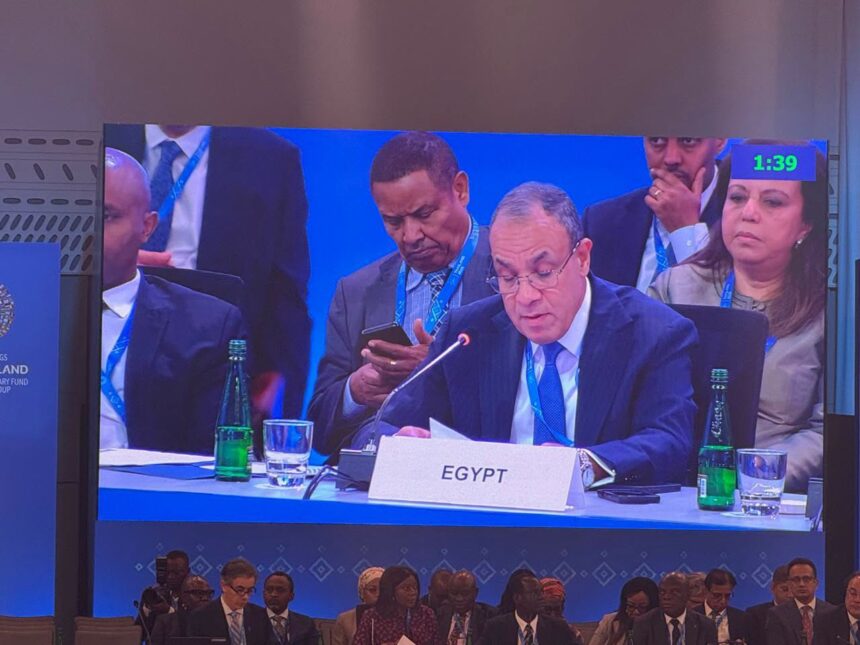 Egypt's FM discusses food security, financing and regional cooperation in Bangkok