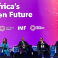 Planning Minister outlines 67% private sector investment target and African integration vision at World Bank-IMF meetings
