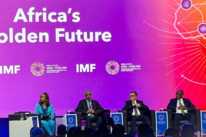 Planning Minister outlines 67% private sector investment target and African integration vision at World Bank-IMF meetings