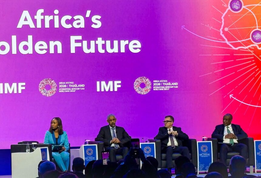 Planning Minister outlines 67% private sector investment target and African integration vision at World Bank-IMF meetings