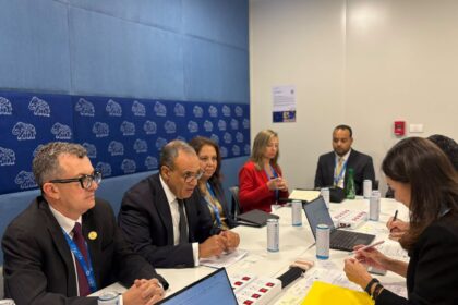 Egyptian ministers pitch infrastructure guarantee facility and reforms to JICA to attract Japanese investment
