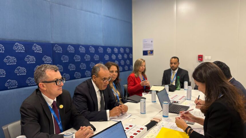 Egyptian ministers pitch infrastructure guarantee facility and reforms to JICA to attract Japanese investment