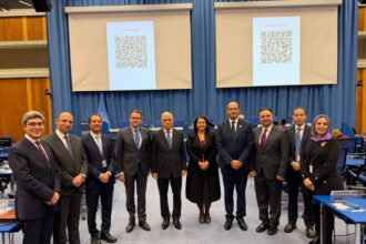 UN conference unanimously adopts Egypt-backed resolution against illicit cultural-property trafficking