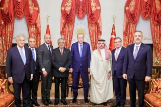Cairo, Ankara discuss regional de-escalation, Black Sea shipping security