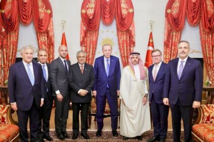 Cairo, Ankara discuss regional de-escalation, Black Sea shipping security