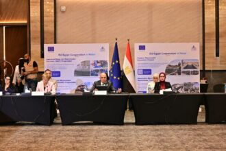"I call for expanding European financing to include farmers": Egypt's irrigation minister