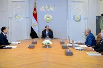 Al-Sisi reviews plan to raise renewables share to 45% by 2028