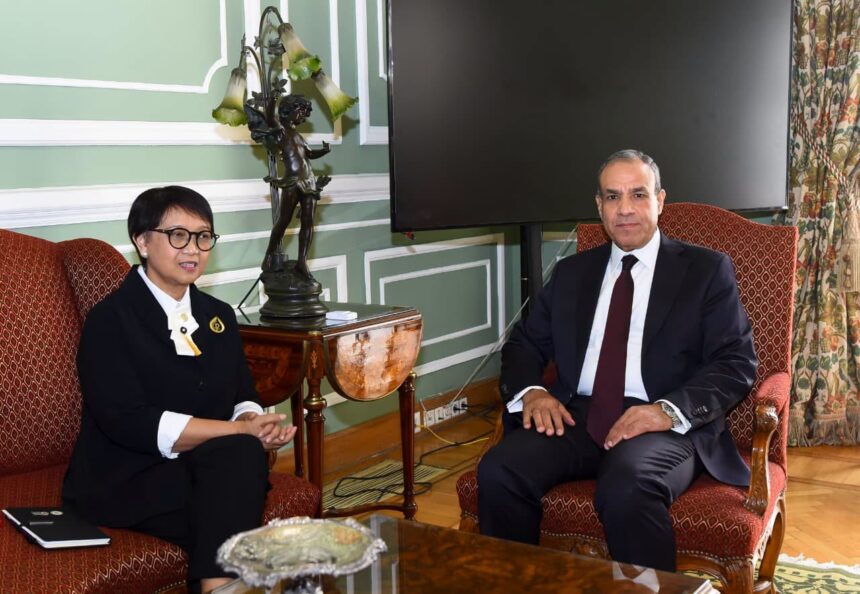 Egypt's FM discusses water security, development financing with UN, EIB officials